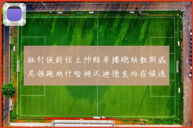 独行侠新任主帅赔率揭晓助教斯威尼领跑纳什哈姆汉迪德克均在候选之中